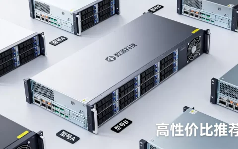 数源科技服务器有哪些型号？，哪个型号性价比高？
