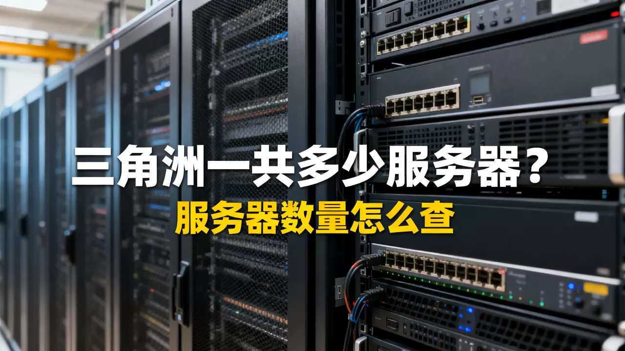 三角洲一共多少服务器?,服务器数量怎么查 三角洲一共多少服务器?,服务器数量怎么查