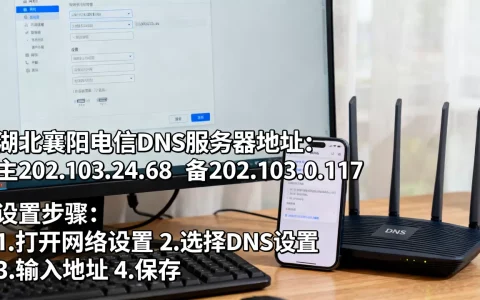 湖北襄阳电信DNS服务器地址是多少？，如何设置