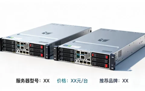 两台服务器多少钱一台，哪个品牌性价比高？