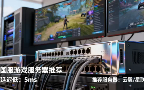 国服游戏服务器有哪些值得推荐？，哪个延迟低？