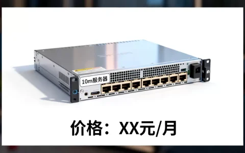 口红机10m服务器价格是多少，怎么收费？