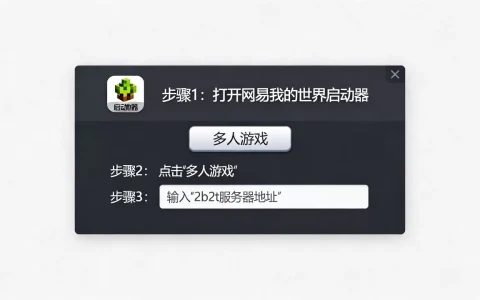 我的世界网易怎么进2b2t服务器，有哪些方法？
