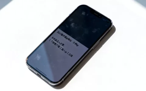 手机2b2t服务器ip地址是多少,怎么进2b2t手机版