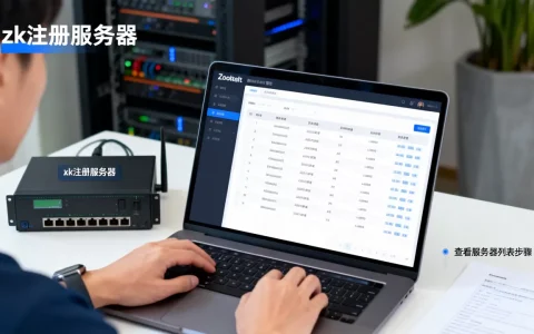 zk如何看注册了哪些服务器？,怎么查看服务器列表？