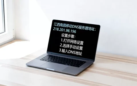 江西南昌移动DNS服务器地址是多少，怎么设置网速更快