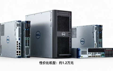 戴尔万元服务器有哪些推荐，性价比高的多少钱？