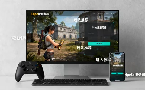 14pe版服务器有哪些好玩的，怎么进？
