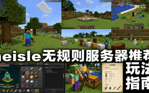 heisle无规则服务器有哪些推荐，怎么玩