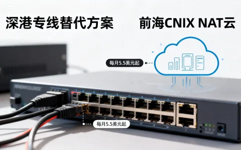 深港专线替代方案有哪些？前海CNIX NAT云每月5.5美元起