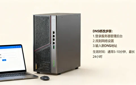 服务器更换DNS怎么改，服务器更换DNS后多久生效？