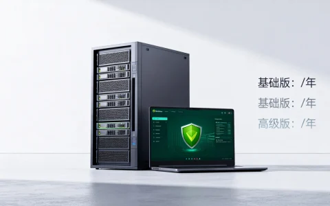 服务器杀毒软件如何收费？2026年专业版报价费用一览