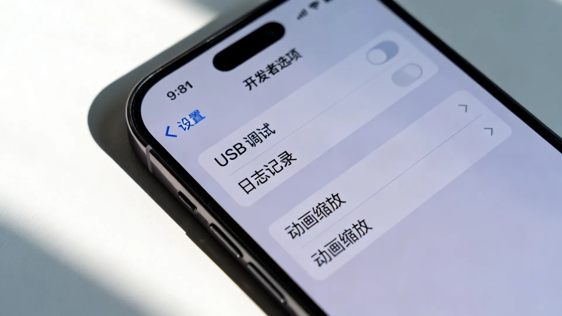 苹果设置里的开发者
