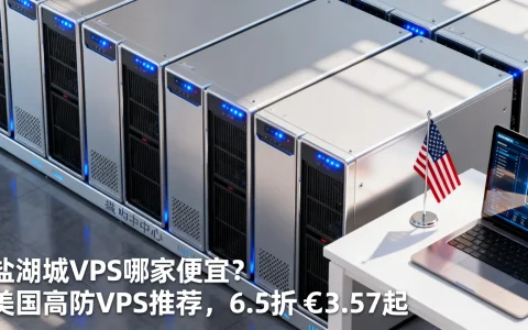 盐湖城VPS哪家便宜？美国高防VPS推荐，6.5折€3.57起