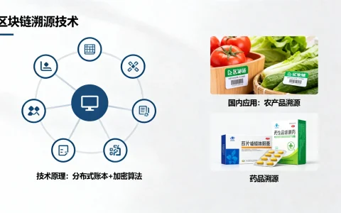 国内区块链溯源有哪些，区块链溯源技术原理是什么？