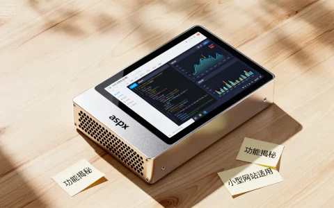 aspx迷你服务器功能揭秘，为何在小型网站中如此受欢迎？