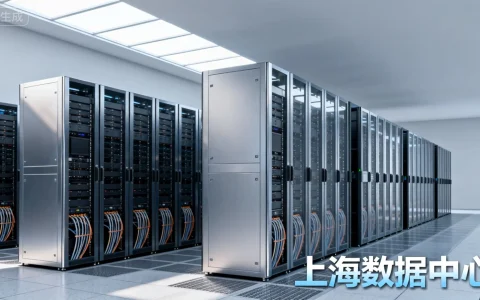 上海地区有哪些数据中心或机房提供服务器托管服务？