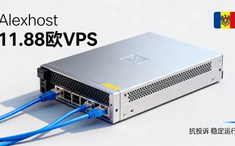 Alexhost 11.88欧抗投诉VPS怎么样？摩尔多瓦无视DMCA稳定吗？