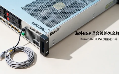 海外BGP混合线路怎么样？Kuroit AMD EPYC流量送不停