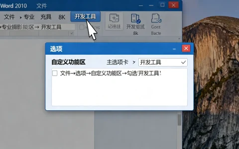 Word 2010开发工具在哪里，如何启用开发工具选项卡？