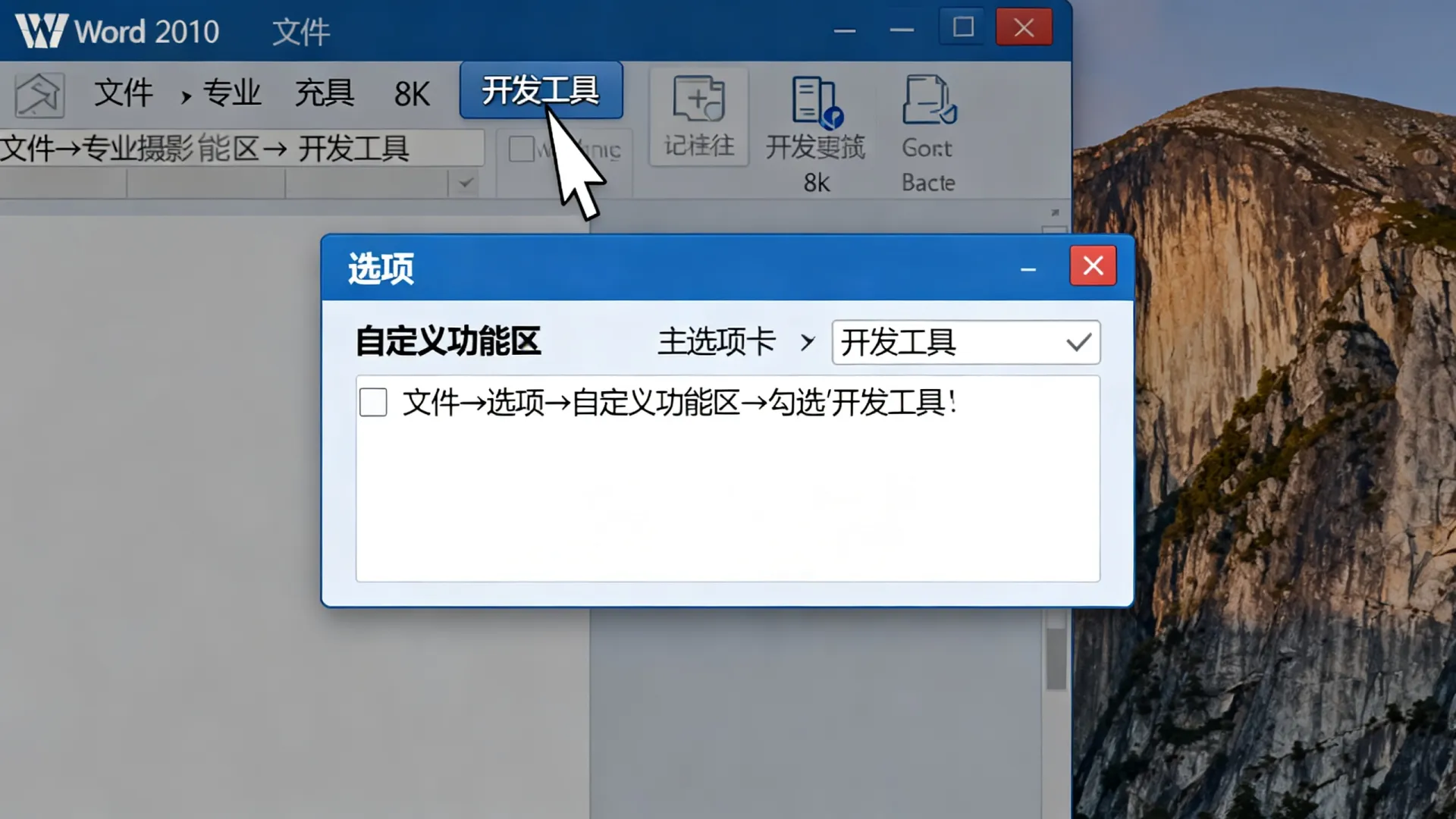 word 2010 开发工具 word 2010 开发工具