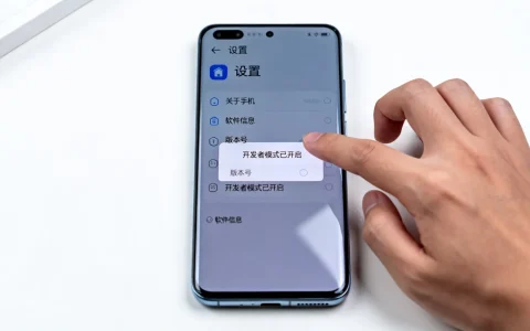 华为手机隐藏开发者选项的奥秘究竟是什么？揭秘开发者模式开启方法！