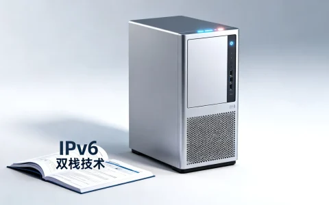 Porkbun是否支持IPv6？美国域名注册商双栈技术解析