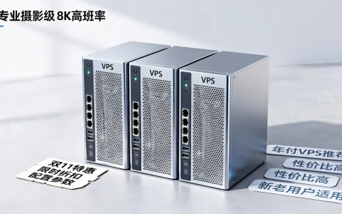 双11期间，有哪些性价比较高、适合新老用户购买的年付VPS主机推荐？