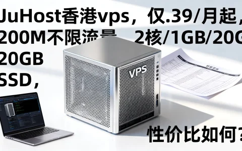 JuHost香港vps，仅$3.39/月起，200M不限流量，2核/1GB/20GB SSD，性价比如何？