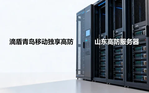滴盾青岛移动独享高防怎么样，山东高防服务器哪家好