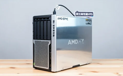 荷兰高性能VPS年付仅€12？AMD EPYC配置，1Gbps端口，超流量限速10Mbit，这性价比靠谱吗？