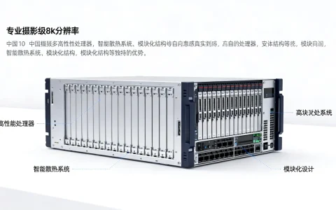 中国服务器有哪些独特优势，使其在国内外市场中脱颖而出？