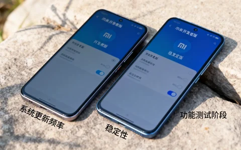 小米开发者版稳定版哪个好？两者有什么区别？