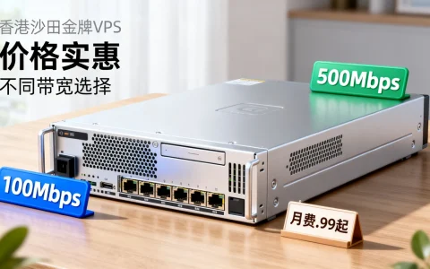 香港沙田金牌VPS价格为何如此实惠？不同带宽选择是否划算？