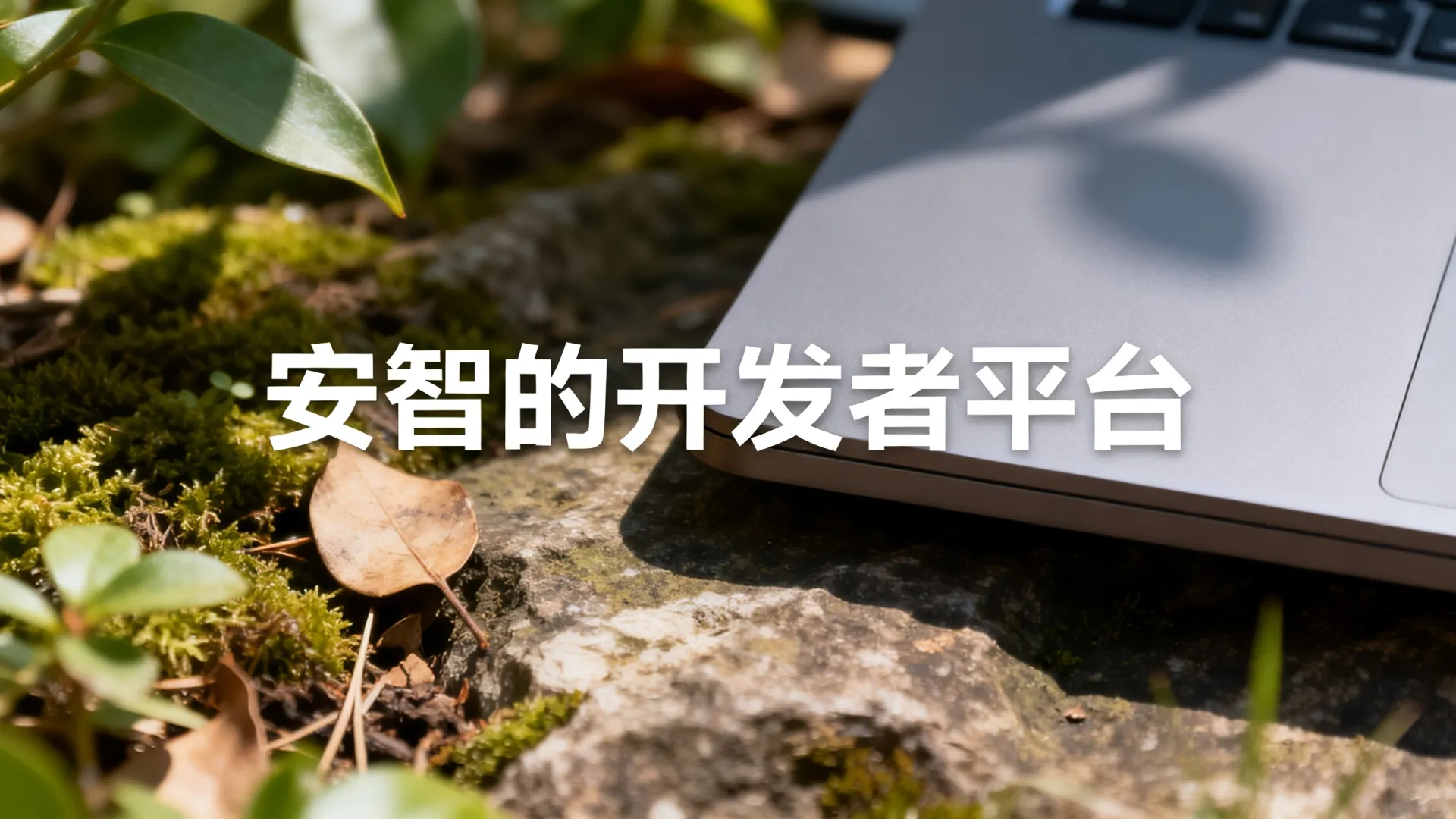 安智的开发者平台 安智的开发者平台