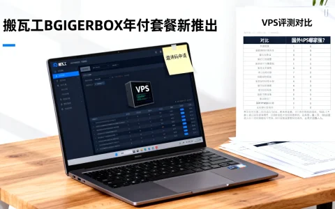 搬瓦工BGIGERBOX年付套餐新推出，邀请码申请，VPS评测对比，国外VPS哪家强？