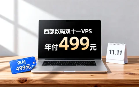 西部数码双十一VPS年付499元促销，国外VPS商家年付价如何？