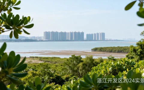 湛江开发区图片在哪里看？湛江开发区最新高清实景图