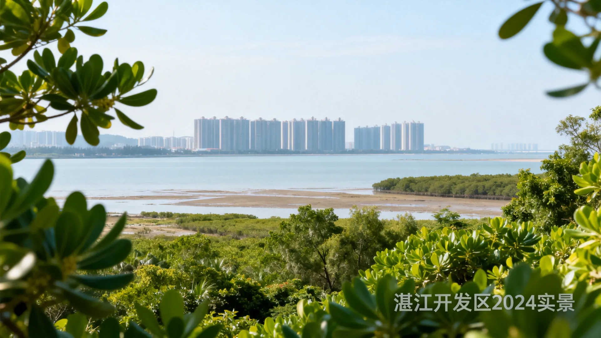 湛江开发区图片 湛江开发区图片