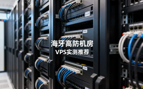 荷兰海牙VPS哪家强？海牙高防机房实测推荐