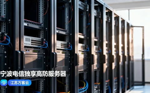 宁波电信独享高防服务器哪家好，江苏万客云怎么样