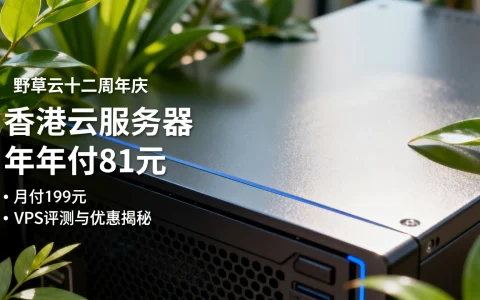 野草云十二周年庆，香港云服务器年付81元、月付199元，VPS评测与优惠揭秘？