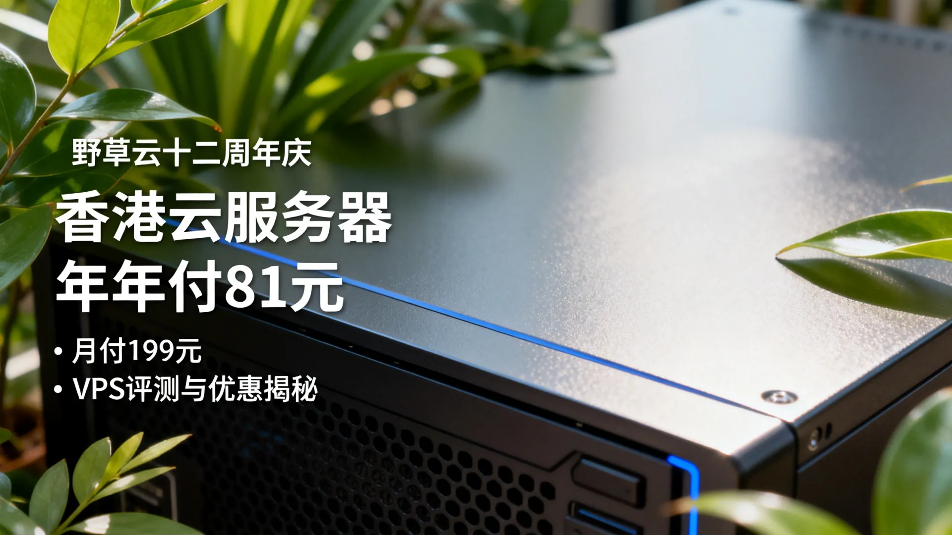 野草云十二周年 香港云服务器低至年付81元 服务器低至月付199 - VPS评测 - 国外VPS，国外VPS商家，评测及优惠