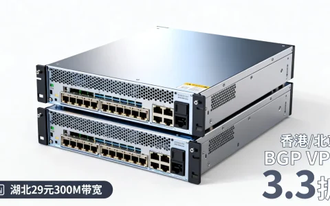 湖北29元300M带宽服务器如何？香港、北京bgp等VPS价格低至3.3折，值得购买吗？