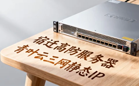 宿迁高防服务器怎么样？青叶云三网静态IP多少钱？