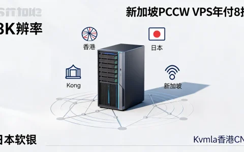 Kvmla香港CN2/日本软银/新加坡PCCW VPS年付8折，哪家国外VPS商家性价比更高？