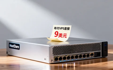 为何HostDare年付VPS套餐仅9美元？盘点性价比之王，揭秘国外VPS市场！