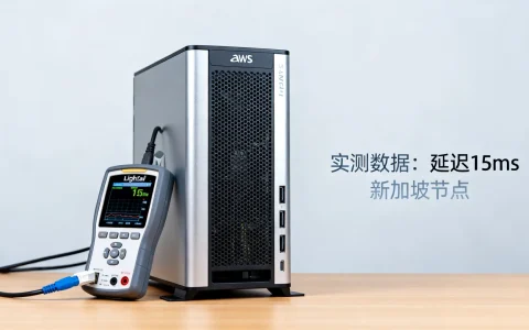 AWS Lightsail新加坡节点速度怎么样？实测东南亚性能真香测评！