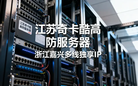 江苏奇卡酷高防服务器怎么样？浙江嘉兴多线独享IP哪家好？