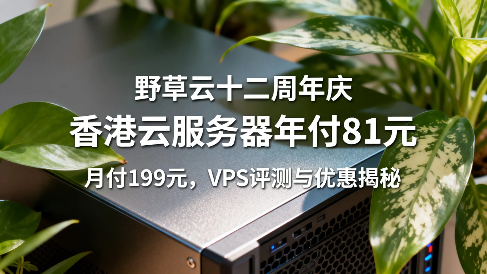 野草云十二周年 香港云服务器低至年付81元 服务器低至月付199 - VPS评测 - 国外VPS，国外VPS商家，评测及优惠